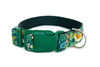 Buckle Dog Collar in Simba (green)