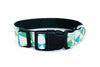 Buckle Dog Collar in Chia (green)