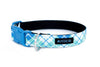 Buckle Dog Collar in Quigley (blue)