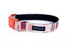 Buckle Dog Collar in Gidget