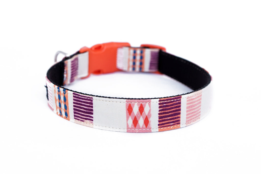 Buckle Dog Collar in Gidget