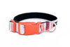 Buckle Dog Collar in Gidget