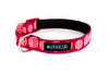 Buckle Dog Collar in Free Candy (red)