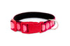 Buckle Dog Collar in Free Candy (red)