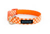 Buckle Dog Collar in Lucy