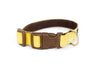 Buckle Dog Collar in GRAMPA! (yellow)