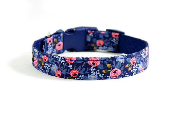 Buckle Dog Collar in Sophie