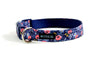 Buckle Dog Collar in Sophie