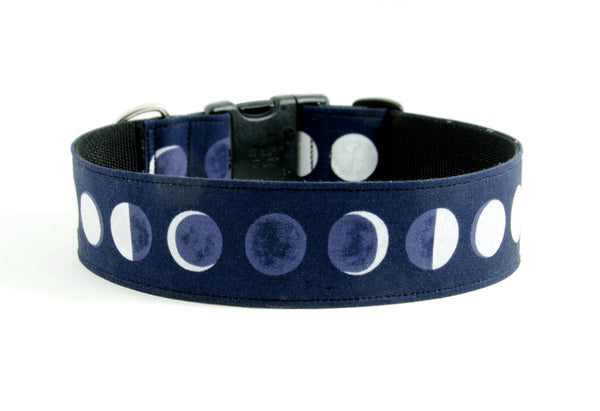 Buckle Dog Collar in Scout: 2" Wide