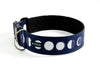 Buckle Dog Collar in Scout: 2" Wide
