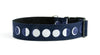 Buckle Dog Collar in Scout: 2" Wide