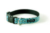 Buckle Dog Collar in Fletch