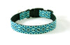 Buckle Dog Collar in Fletch