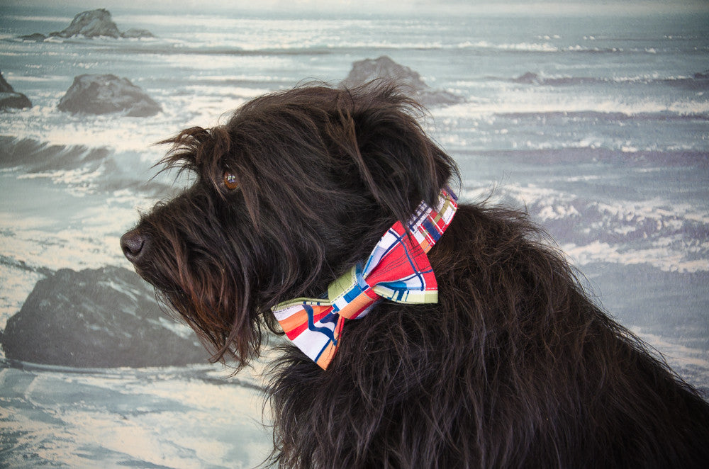 Dog collar and bow tie set: Captain, a cheerful madras plaid