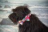 Dog collar and bow tie set: Captain, a cheerful madras plaid