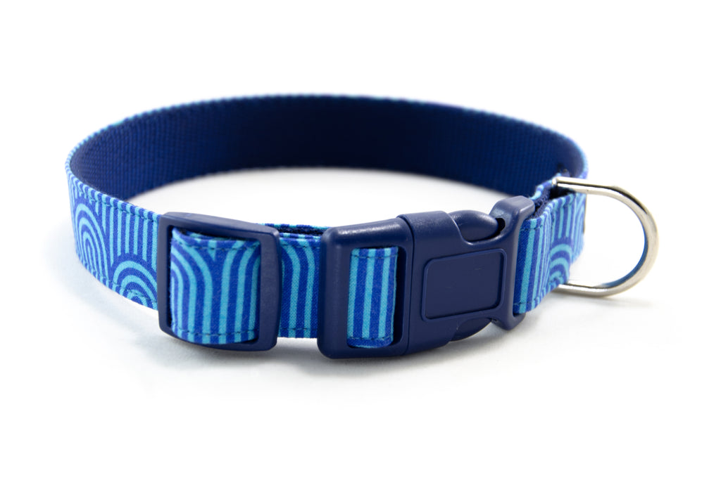 Buckle Dog Collar in Guinness (Blue) Mutthead