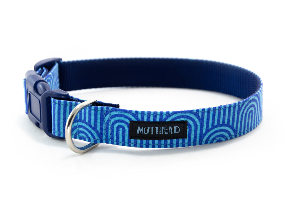 Buckle Dog Collar in Guinness (Blue) Mutthead