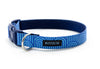 Buckle Dog Collar in Guinness (Blue)