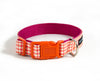 Buckle Dog Collar in Duck (Orange)