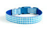 Buckle Dog Collar in Duck (blue) ALMOST GONE!