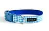 Buckle Dog Collar in Duck (blue) ALMOST GONE!