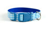 Buckle Dog Collar in Duck (blue) ALMOST GONE!