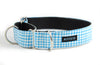 Martingale Collar in Duck (blue) LAST ONE!