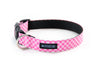 Buckle Dog Collar in Edith (Pink)