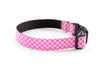 Buckle Dog Collar in Edith (Pink)