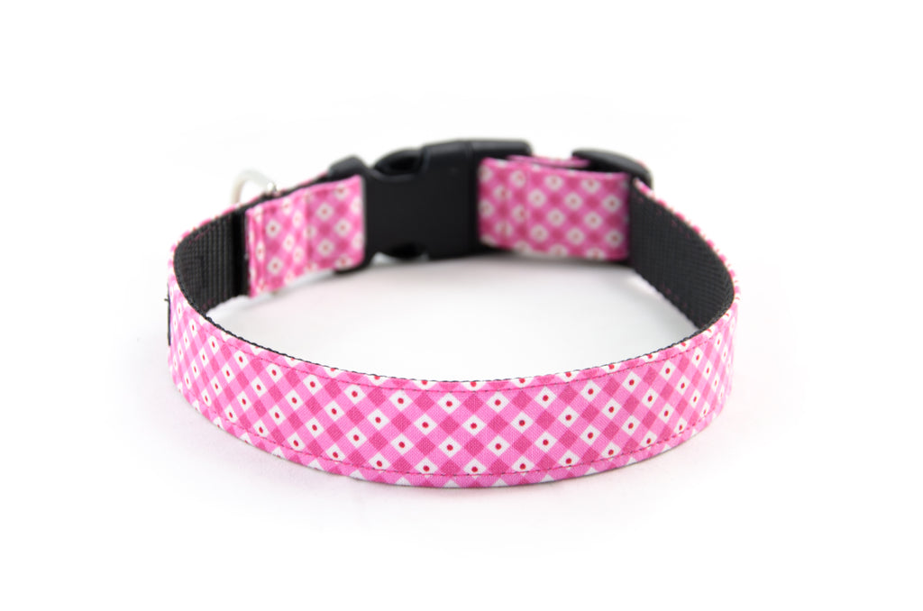 Buckle Dog Collar in Edith (Pink)