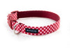 Buckle Dog Collar in Edith (Red)