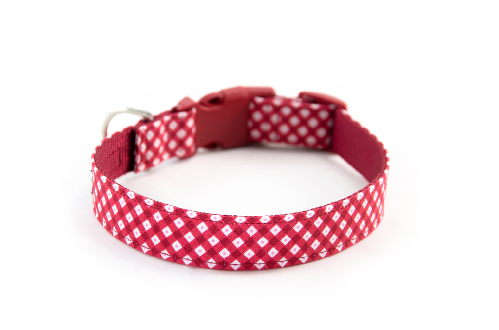 Buckle Dog Collar in Edith (Red)