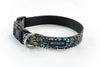 Buckle Dog Collar in Fiona