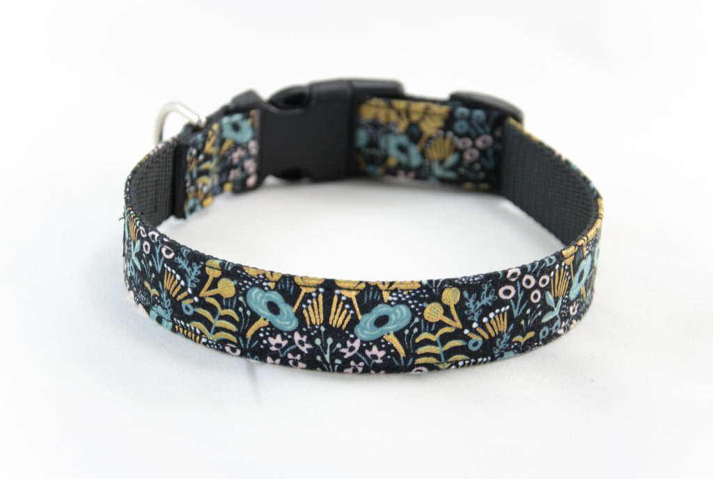 Buckle Dog Collar in Fiona