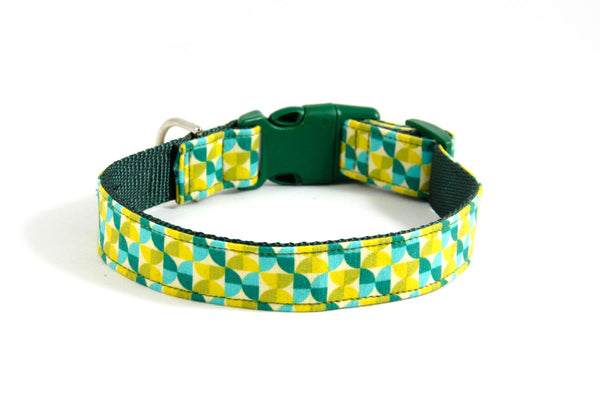 Buckle Dog Collar in Florence