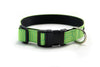 Buckle Dog Collar in Guinness (Green)
