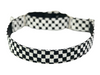 Martingale Collar in Rudy