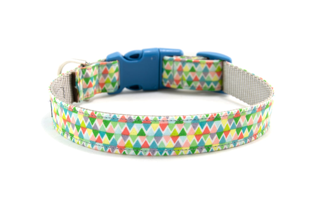 Buckle Dog Collar in Izabella