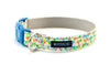 Buckle Dog Collar in Izabella