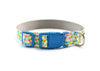 Buckle Dog Collar in Izabella