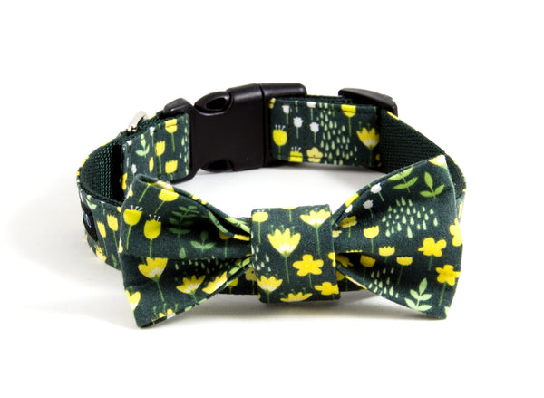 Dog collar and bow tie set: Kate, a green and yellow floral