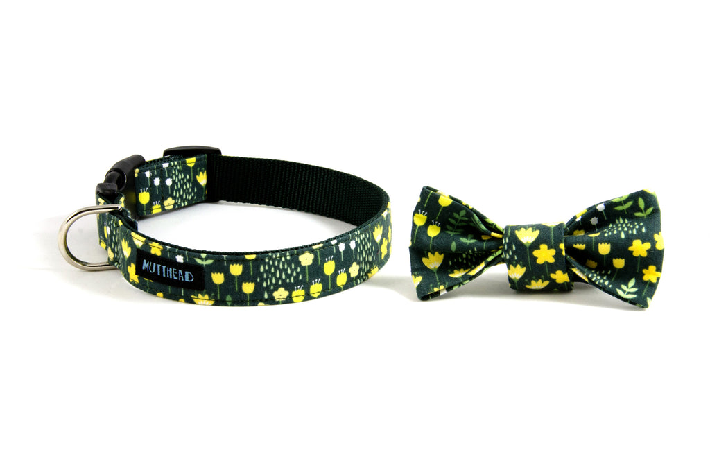 Dog collar and bow tie set Kate, a green and yellow floral Mutthead