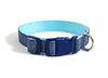 Buckle Dog Collar in Lefty ALMOST SOLD OUT