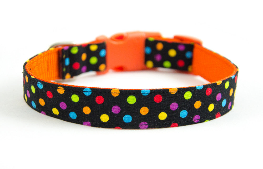 Buckle Dog Collar in Merry ALMOST SOLD OUT