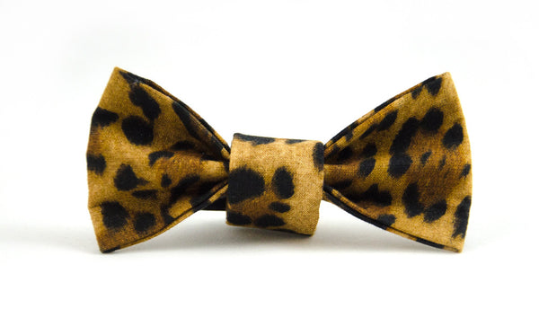 Bow Tie in Punky