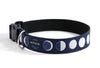 Buckle Dog Collar in Scout
