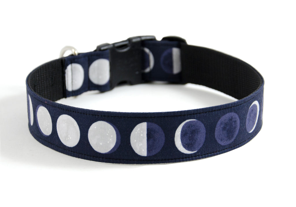 Buckle Dog Collar in Scout