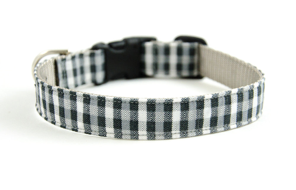 Buckle Dog Collar in Sully