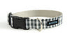 Buckle Dog Collar in Sully