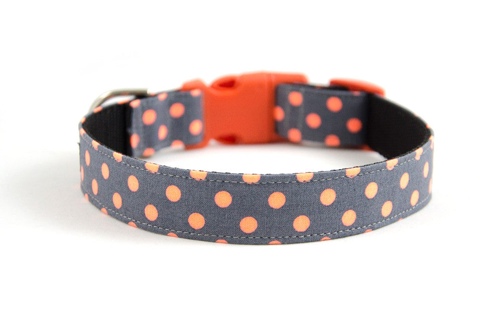Buckle Dog Collar in Zoe (orange)